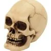 2er Set Graveyard Totenschädel Medium -Halloween Totenköpfe Verkäufe 2er set graveyard totenkopf medium graveyard skull 2pc set medium totenschaedel kaufen 52350 01 1