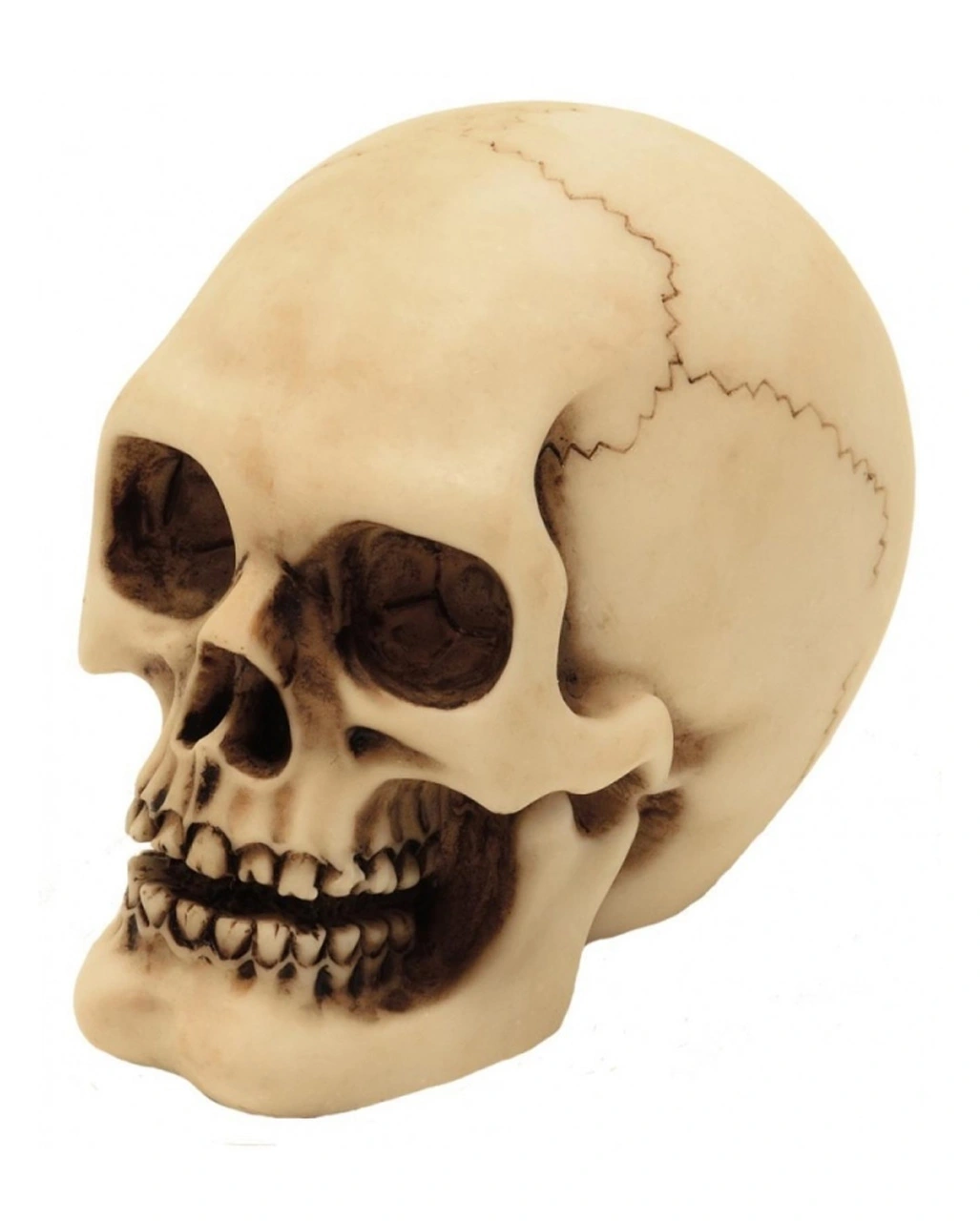 2er Set Graveyard Totenschädel Medium 3 2er Set Graveyard Totenschädel Medium