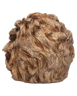 Albert Einstein Totenschädel 21cm 12 Albert Einstein Totenschädel 21cm -Halloween Totenköpfe Verkäufe albert einstein totenkopf albert einstein totenschaedel albert einstein skull 54562 04