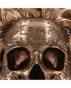 Albert Einstein Totenschädel 21cm 13 Albert Einstein Totenschädel 21cm -Halloween Totenköpfe Verkäufe albert einstein totenkopf albert einstein totenschaedel albert einstein skull 54562 05