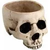 Antike Totenschädel Schale 470ml 1 Antike Totenschädel Schale 470ml -Halloween Totenköpfe Verkäufe antike totenkopf schale antike totenschaedelschale antic skull bowl 51433 01