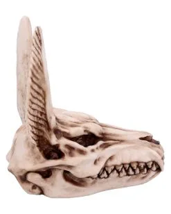 Anubis Totenschädel Figur 17cm 10 Anubis Totenschädel Figur 17cm -Halloween Totenköpfe Verkäufe anubis totenkopf figur anubis totenschaedel figur anubis skull figurine 51020 04