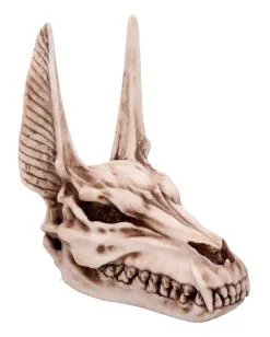 Anubis Totenschädel Figur 17cm 11 Anubis Totenschädel Figur 17cm -Halloween Totenköpfe Verkäufe anubis totenkopf figur anubis totenschaedel figur anubis skull figurine 51020 05