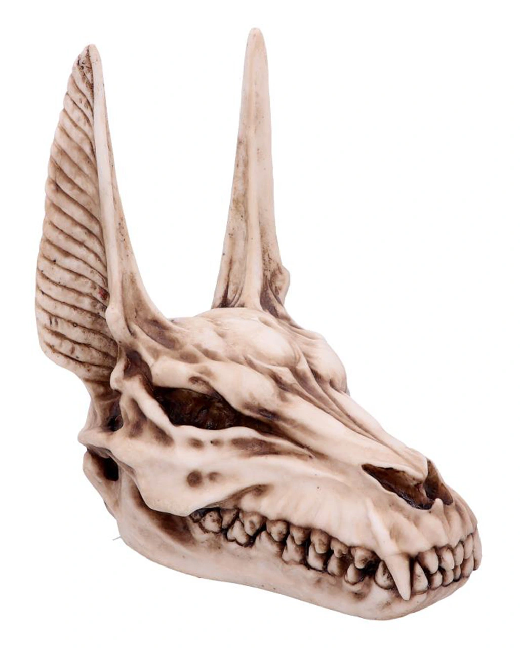 Anubis Totenschädel Figur 17cm 7 Anubis Totenschädel Figur 17cm – Bild 5