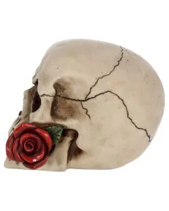 Beiger Totenschädel Mit Roter Rose 15cm -Halloween Totenköpfe Verkäufe beiger totenkopf mit roter rose beiger totenschaedel mit roter rose antic skull with red rose 53389 03