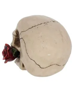 Beiger Totenschädel Mit Roter Rose 15cm -Halloween Totenköpfe Verkäufe beiger totenkopf mit roter rose beiger totenschaedel mit roter rose antic skull with red rose 53389 04