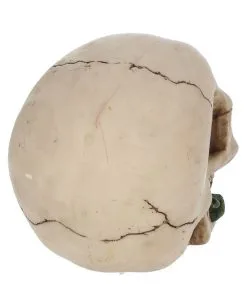 Beiger Totenschädel Mit Roter Rose 15cm -Halloween Totenköpfe Verkäufe beiger totenkopf mit roter rose beiger totenschaedel mit roter rose antic skull with red rose 53389 05