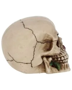 Beiger Totenschädel Mit Roter Rose 15cm -Halloween Totenköpfe Verkäufe beiger totenkopf mit roter rose beiger totenschaedel mit roter rose antic skull with red rose 53389 06