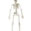 Halloween Knochenskelett 40 Cm 1 Halloween Knochenskelett 40 Cm -Halloween Totenköpfe Verkäufe bewegliches halloween skelett possable halloween skeleton kunststoff skelett 40cm 37967 01