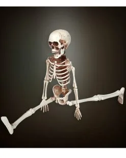 Bewegliches Skelett Gerippe 40cm 7 Bewegliches Skelett Gerippe 40cm -Halloween Totenköpfe Verkäufe bewegliches skelett 40cm posable skeleton 40cm halloween deko skelett deko 52010 03