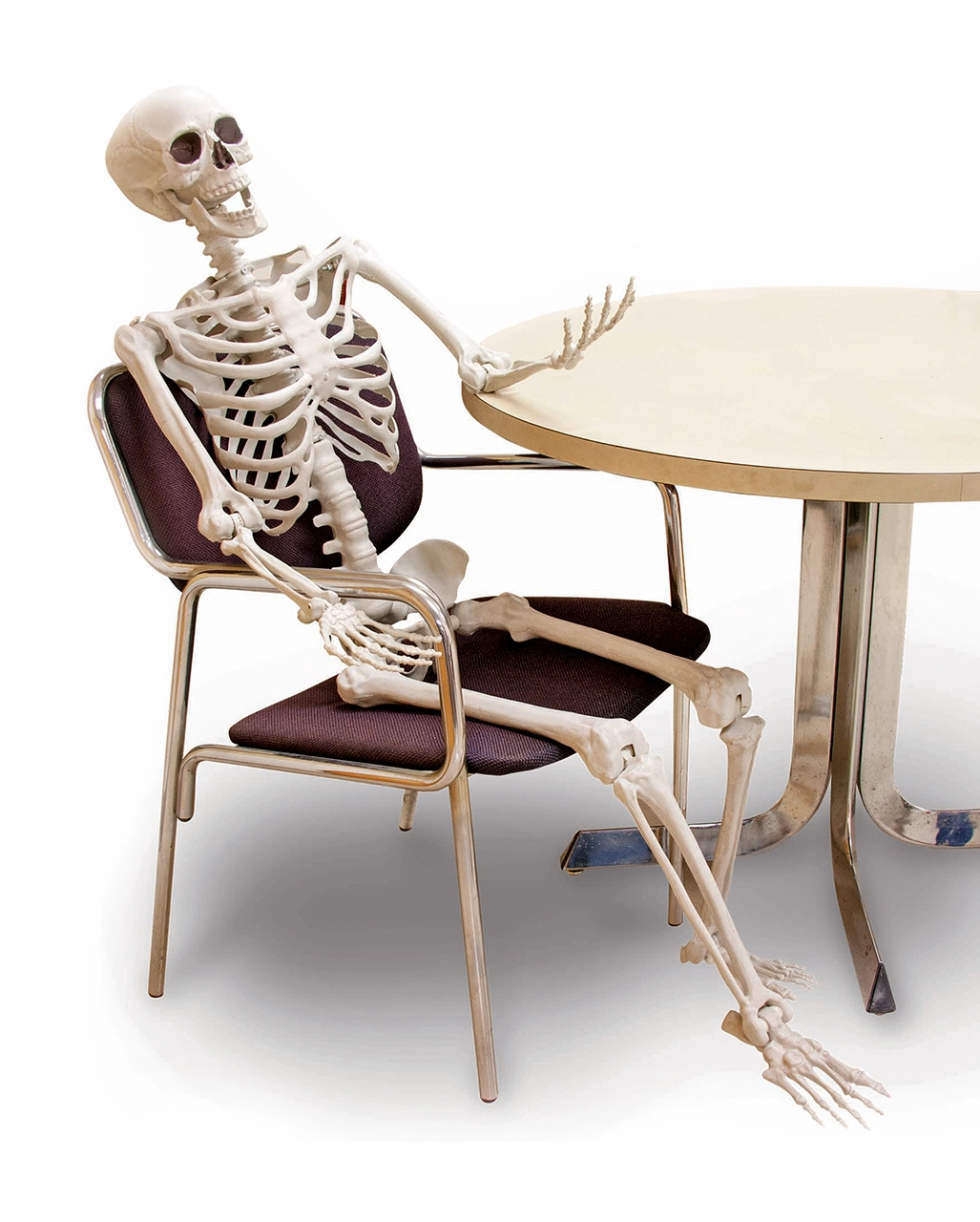 Biegsames Skelett 160cm 3 Biegsames Skelett 160cm