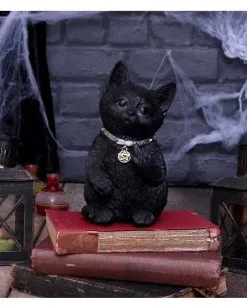 Freche Katze Zeigt Mittelfinger 16,5cm 15 Freche Katze Zeigt Mittelfinger 16,5cm -Halloween Totenköpfe Verkäufe cattitude katze zeigt mittelfinger cattitude cat showing middle finger gothic deko geschenkartikel 53939 7