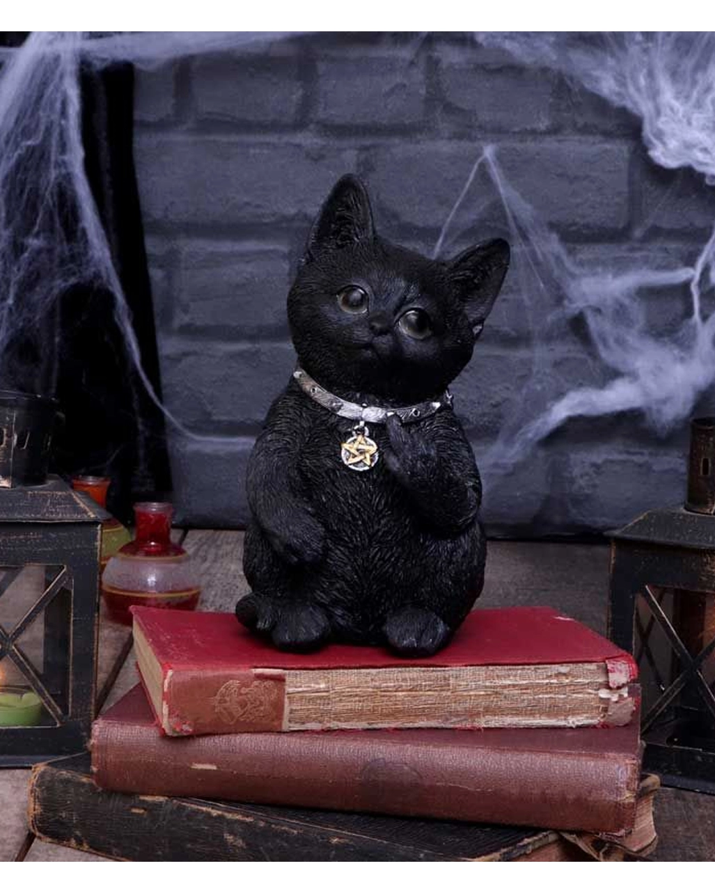 Freche Katze Zeigt Mittelfinger 16,5cm 9 Freche Katze Zeigt Mittelfinger 16,5cm – Bild 7