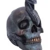 Schuppige Schlange In Totenkopf 19cm 1 Schuppige Schlange In Totenkopf 19cm -Halloween Totenköpfe Verkäufe das schicksal der schlange gothic schaedel 19cm serpentine fate gothic snake skull gothic deko totenkopf 53993