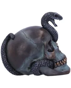Schuppige Schlange In Totenkopf 19cm 11 Schuppige Schlange In Totenkopf 19cm -Halloween Totenköpfe Verkäufe das schicksal der schlange gothic schaedel 19cm serpentine fate gothic snake skull gothic deko totenkopf 53993 4