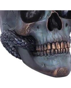 Schuppige Schlange In Totenkopf 19cm 13 Schuppige Schlange In Totenkopf 19cm -Halloween Totenköpfe Verkäufe das schicksal der schlange gothic schaedel 19cm serpentine fate gothic snake skull gothic deko totenkopf 53993 6