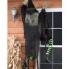Kletternde Hexe 152 Cm 2 Kletternde Hexe 152 Cm -Halloween Totenköpfe Verkäufe fassadenkletter hexe climbing witch 28386