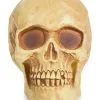 Halloween Antik-Totenschädel 2 Halloween Antik-Totenschädel -Halloween Totenköpfe Verkäufe glaenzender totenkopf skull item totenschaedel equipment realistischer totenkopf 21250