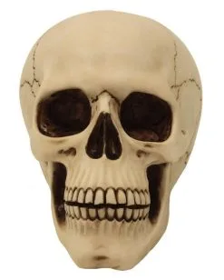 Graveyard Totenschädel Large 7 Graveyard Totenschädel Large -Halloween Totenköpfe Verkäufe graveyard totenkopf large graveyard totenschaedel graveyard skull large gothic deko 52351 02