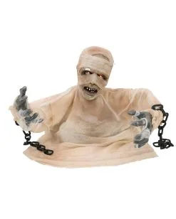 Mumie Halloween Animatronic 40cm 10 Mumie Halloween Animatronic 40cm -Halloween Totenköpfe Verkäufe groundbreaker mumie animatronic 40cm halbierte mumie halloween dekofigur animated mummy 36298 04
