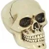 Schaltknauf Totenschädel 1 Schaltknauf Totenschädel -Halloween Totenköpfe Verkäufe horrorshop.com autoknauf totenkopf totenschaedel schaltknauf totenkopf sammlerfigur 27091