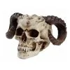 Teufelskopf Mit Widder Hörnern 2 Teufelskopf Mit Widder Hörnern -Halloween Totenköpfe Verkäufe horrorshop com teufelskopf mit widderhoerner totenschaedel guenstig kaufen totenkoepfe als dekoration skull with ram horns 20346
