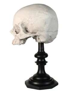 J. DOE Totenschädel Auf Sockel 20cm 9 J. DOE Totenschädel Auf Sockel 20cm -Halloween Totenköpfe Verkäufe j doe totenkopf auf sockel j doe totenschaedel auf sockel j doe skull plinth gothic homware 54857 02