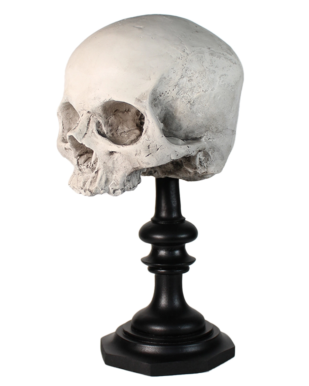J. DOE Totenschädel Auf Sockel 20cm 4 J. DOE Totenschädel Auf Sockel 20cm – Bild 2