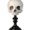 J. DOE Totenschädel Auf Sockel 20cm 2 J. DOE Totenschädel Auf Sockel 20cm -Halloween Totenköpfe Verkäufe j doe totenkopf auf sockel j doe totenschaedel auf sockel j doe skull plinth gothic homware 54857 04