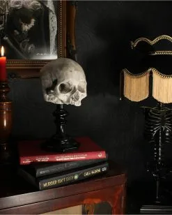 J. DOE Totenschädel Auf Sockel 20cm 11 J. DOE Totenschädel Auf Sockel 20cm -Halloween Totenköpfe Verkäufe j doe totenkopf auf sockel j doe totenschaedel auf sockel j doe skull plinth gothic homware 54857 05