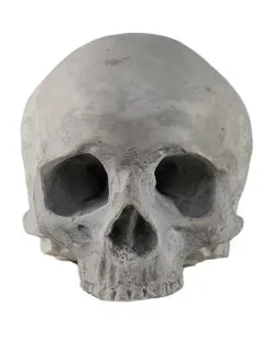J. DOE Totenschädel 17cm -Halloween Totenköpfe Verkäufe j doe totenkopf j doe totenschaedel ghotic totenkopf gothic wohnaccessoire gothic homware 54856 03