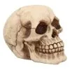 Kleiner Grinsender Totenkopf 12cm 1 Kleiner Grinsender Totenkopf 12cm -Halloween Totenköpfe Verkäufe kleiner grinsender totenschaedel small joker skull totenkopf dekoration gothic deko 50730 01