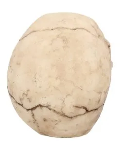 Kleiner Grinsender Totenkopf 12cm -Halloween Totenköpfe Verkäufe kleiner grinsender totenschaedel small joker skull totenkopf dekoration gothic deko 50730 05