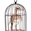 Raben Skelett Im Käfig -Halloween Totenköpfe Verkäufe kraehen skelett im kaefig raben skelett im kaefig skeleton crow in cage 39341 01
