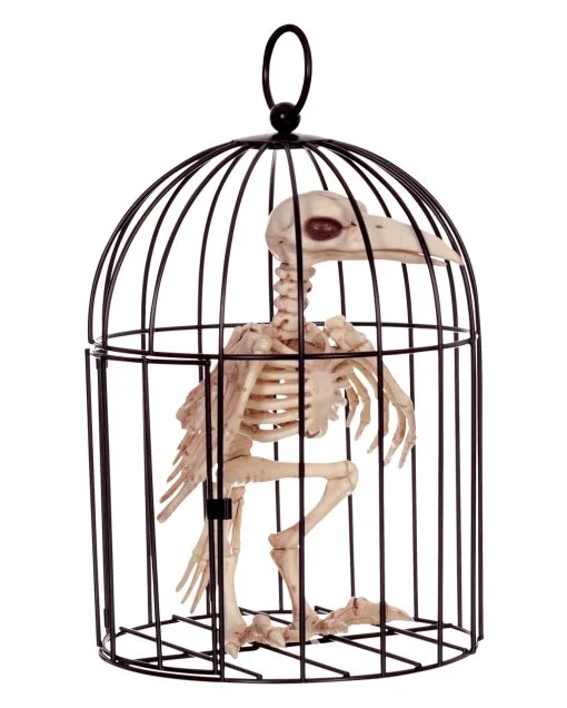 Raben Skelett Im Käfig 6 Raben Skelett Im Käfig -Halloween Totenköpfe Verkäufe kraehen skelett im kaefig raben skelett im kaefig skeleton crow in cage 39341 01