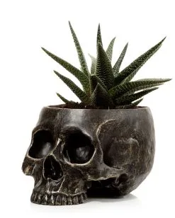 Marmorierter Gothic Totenschädel Pflanzentopf 9 Marmorierter Gothic Totenschädel Pflanzentopf -Halloween Totenköpfe Verkäufe marmorierter gothic totenkopf pflanzenschale gothic totenschaedel pflanzenschale gothic skull plant pot 54615 02