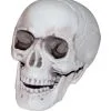 Mini Totenkopf Mit Beweglichem Kiefer 1 Mini Totenkopf Mit Beweglichem Kiefer -Halloween Totenköpfe Verkäufe mini totenkopf mit beweglichen kiefer halloween deko totenschaedel kaufen 19636 01