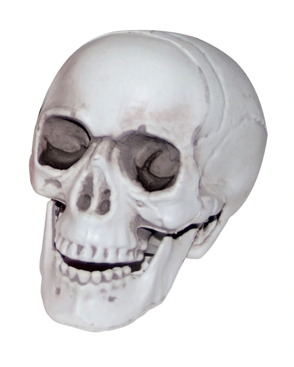 Mini Totenkopf Mit Beweglichem Kiefer 3 Mini Totenkopf Mit Beweglichem Kiefer