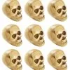 Mini Totenschädel Im Netz 2 Mini Totenschädel Im Netz -Halloween Totenköpfe Verkäufe mini totenkoepfe im netz kleine totenschaedel im netz mini skulls 21585 3