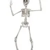 Positionierbares Knochengerippe 50cm 2 Positionierbares Knochengerippe 50cm -Halloween Totenköpfe Verkäufe positionierbares knochenskelett flexibles knochengerippe poseable skeleton halloween dekoration 39604 01