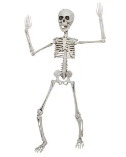 Positionierbares Knochengerippe 50cm
