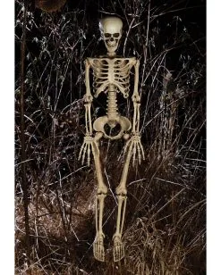 Bewegliches Knochenskelett 90cm -Halloween Totenköpfe Verkäufe positionierbares knochenskelett halloween deko skelett mit beweglichen gelenken halloween und horror deko 52003 2