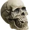 Verwitterter Skull Totenkopf 1 Verwitterter Skull Totenkopf -Halloween Totenköpfe Verkäufe rotting skull totenschaedel verwitterter totenkopf halloween deko 28000