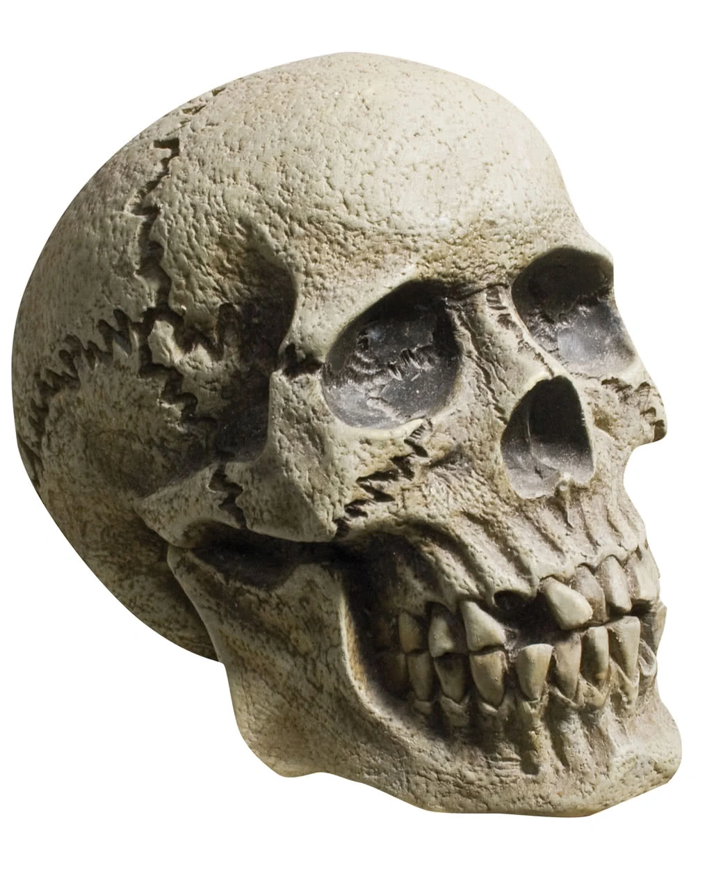 Verwitterter Skull Totenkopf 3 Verwitterter Skull Totenkopf