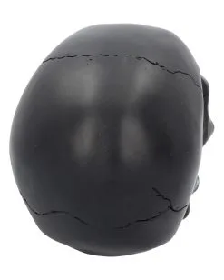 Schwarzer Totenschädel Mit Goldener Rose 15cm 12 Schwarzer Totenschädel Mit Goldener Rose 15cm -Halloween Totenköpfe Verkäufe schwarzer totenkopf mit goldener rose black skull with golden rose gothic deko gothic totenkopf 54621 05