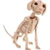 Sitzendes Hundeskelett 30 Cm 2 Sitzendes Hundeskelett 30 Cm -Halloween Totenköpfe Verkäufe sitzendes hunde skelett halloween deko skeleton sitting puppy halloween deco 38862 01