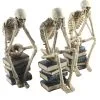 Skelette Auf Bücher Sitzend 3 Stück Als Set 35cm 1 Skelette Auf Bücher Sitzend 3 Stück Als Set 35cm -Halloween Totenköpfe Verkäufe skelette auf buecher sitzend skeleton sitting on books skelett deko 54789 01