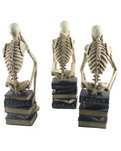 Skelette Auf Bücher Sitzend 3 Stück Als Set 35cm 7 Skelette Auf Bücher Sitzend 3 Stück Als Set 35cm -Halloween Totenköpfe Verkäufe skelette auf buecher sitzend skeleton sitting on books skelett deko 54789 03