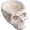 Totenschädel Schale 28cm 2 Totenschädel Schale 28cm -Halloween Totenköpfe Verkäufe totenkopf schale totenschaedel schale skull planter totenkopf dekoration 51403 01