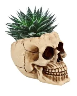 Realistische Totenschädel Schale Mit Offener Schädeldecke 9 Realistische Totenschädel Schale Mit Offener Schädeldecke -Halloween Totenköpfe Verkäufe totenschaedel schale mit offener schaedeldecke realistic skull mug morbide gothic deko halloween deko totenschaedel 39289 2